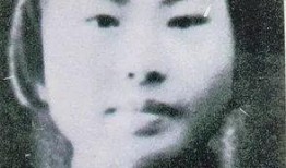 杨展最新爆料新闻事件,揭秘事件背后惊人真相