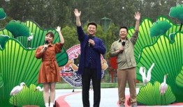 重庆太阳最新爆料视频,揭秘神秘事件背后的真相