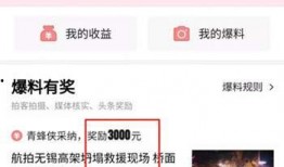 天涯最新爆料头条,最新爆料头条背后的惊人真相