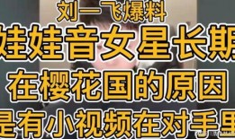 刘一飞最新爆料视频,事件真相再引热议