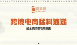 电商最新爆料,揭秘神秘爆款产品背后的秘密！