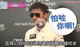 最新港八卦爆料新闻视频,最新爆料视频内容大起底