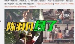 贼王最新爆料视频大全下载,揭秘犯罪内幕，追踪犯罪势力动态