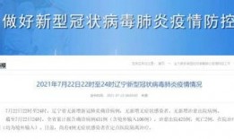 沈阳今日爆料最新消息,惊曝重大事件，详情即将揭晓！
