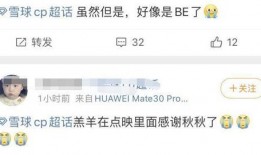 雪球cp最新爆料是谁,神秘爆料揭示幕后真相！”