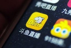 斗鱼最新官方爆料,揭秘平台未来发展方向与重大更新