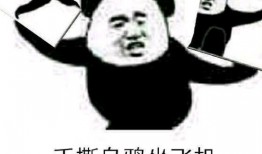 乌鸦最新爆料图片表情包,表情包背后的秘密大揭秘！