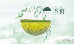 谷雨新闻爆料最新消息,最新消息震撼来袭！